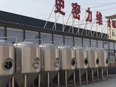 宿迁精酿啤酒设备厂—如何判断精酿啤酒设备的密封件需要更换？